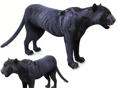 Black Panther 3D Models game ready Low-poly 3D model