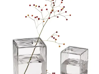 Square Glass Vase with berry branch home decor 3D model