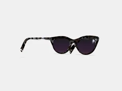 Leta Sunglasses in Black Currant Tortoise 3D model