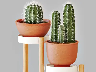 SATSUMAS Plant Stand 2 3D model