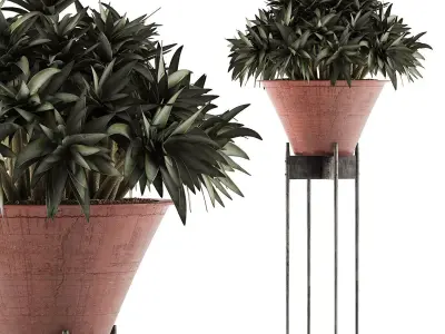 Plants Collection 49 3D model