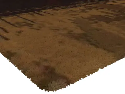 Rug Set 1211 3D model