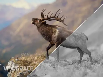 Male Elk Animated VFX Grace 3D model