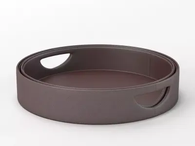 Calligaris Damian PVC tray 3D model