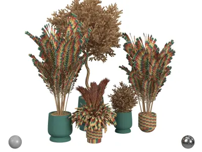 Plant collection  3D model