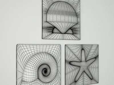 Nautilus Seashell and Starfish Plaques 3D model