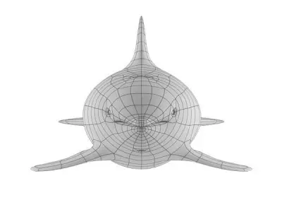 Whale Base Mesh Low-poly 3D model
