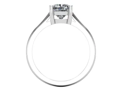 Her Band Bridal Set 3D print model