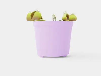 Dionaea muscipula Low-poly 3D model