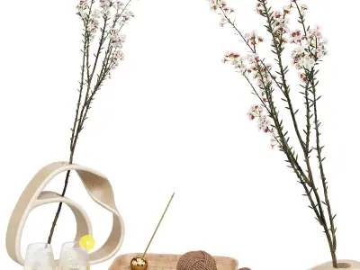 Decorative set 16 3D model order