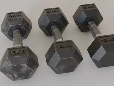 Hex Dumbbell 13 kg 3D model