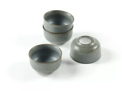 POLYPASTA -Thomas Nature - bowl 13 cm - water 3D model