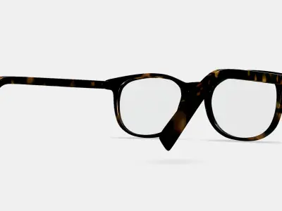 Durand Eyeglasses in Whiskey Tortoise 3D model