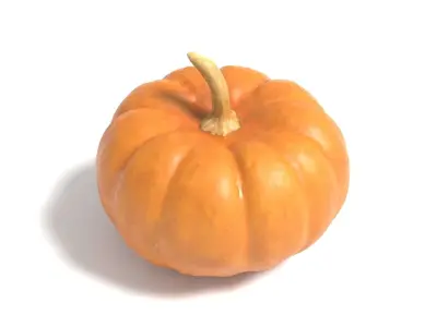 Decorative Gourd Pumpkin Squash Orange 3D Scan 3D model