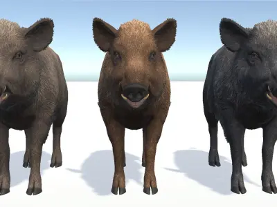 Wild Boar - Female Low-poly 3D model