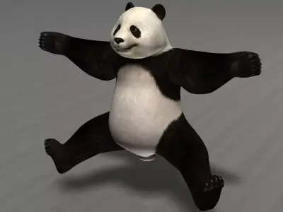 Giant Panda Bear - Ailuropoda Melanoleuca - Bamboo Bear 3D model