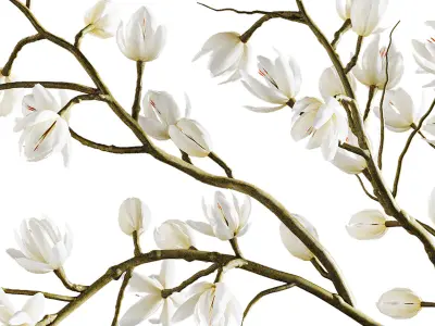 Plants collection set 9 3D model