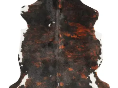 Tricolor Cowhide Rug B5893 3D model