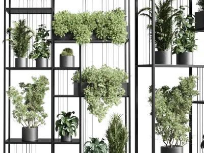 Standing metal shelf with a set of plants metal boxes 325 Low-poly 3D model