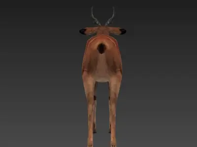 antelope Low-poly 3D model