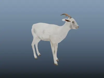 Goat  Animated VFX Grace  Low-poly 3D model