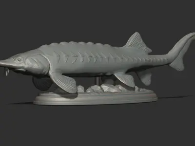 Sturgeon Beluga fish on the base 3D print model