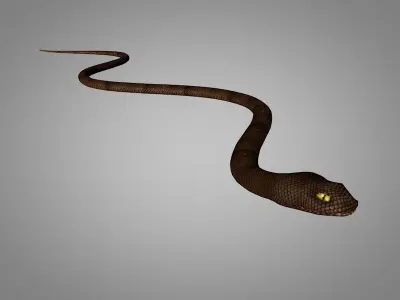 Snake Cobra Low-poly 3D model