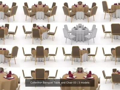 Collection Banquet Table and Chair 03