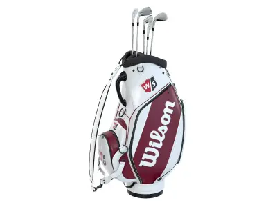 Wilson Golf Bag White Low-poly 3D model