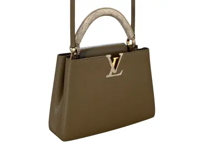 Louis Vuitton bag Capucines Khaki Snake Leather 3D model