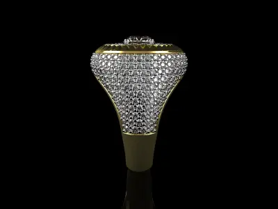 Gold N570 3D print model