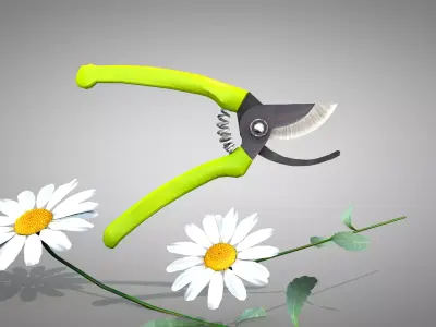 Garden Pliers 3D model