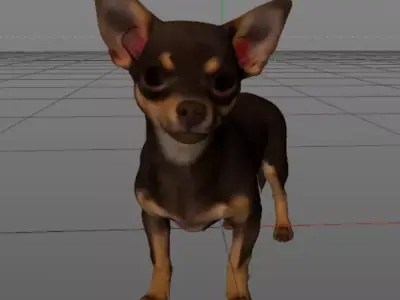 3D Model Dog Chihuahua  3D model