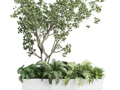 Stand plant in box garden indoor plant 130 3D model