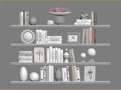Decor Set 9 shelf with books and flowers 3D model