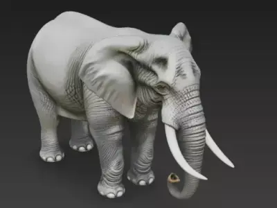 Realistic African Elephant 3D Model High Detail Wildlife  Low-poly 3D model