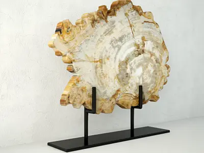 Petrified Wood On Stand 3D model