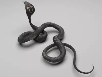 Cobra Snake 3D model