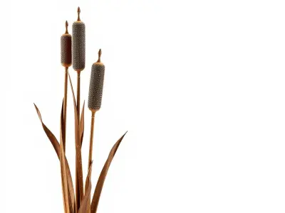 Metallic Bulrush Model Pack for Decorative Environments Low-poly 3D model