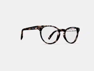 Leila Eyeglasses in Smoky Pearl Tortoise 3D model