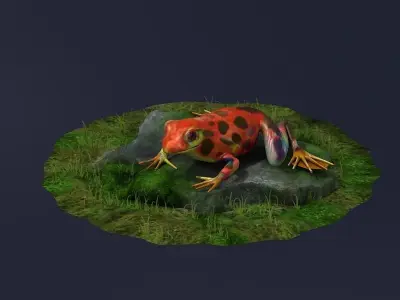 Jungle frogs poison dart frogs rainforest frogs Amphibians 3D model