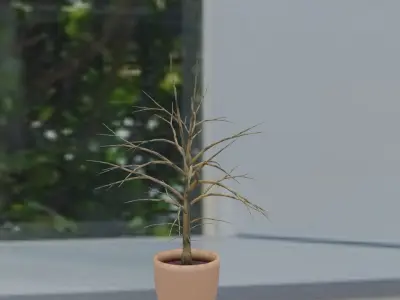 Potted Plant 2 Free 3D model