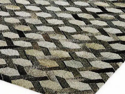 Restoration Hardware Link Cowhide Rug 3D model