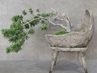 Decorative pine tree bonsai 3D model