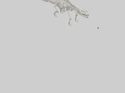 Plesiosaur Skeleton model Low-poly 3D model