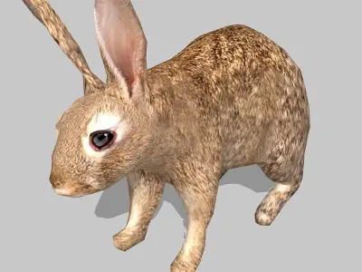 rabbit bunny Low-poly 3D model