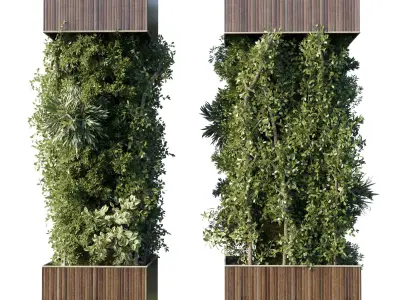Column plant - pillar plant - column garden ivy 10 3D model