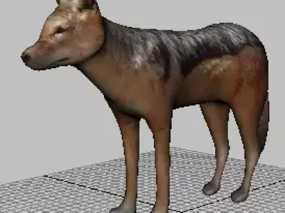 Caped Jackal 3D model