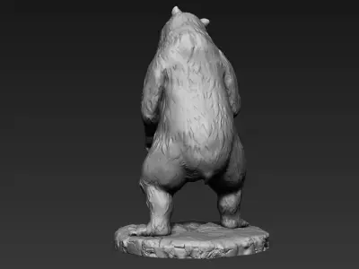 Zbrush Bear 3D model