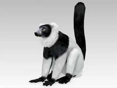 Hills Ruffed Lemur Low-poly 3D model
